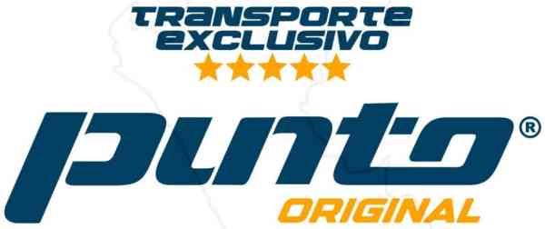 Punto Bus
